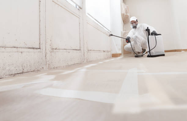 24/7 Emergency Mold Testing experts in Williamston, MI