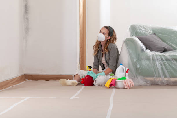 Reliable Mold Testing contractor in Williamston, MI by WQB Mold Removal